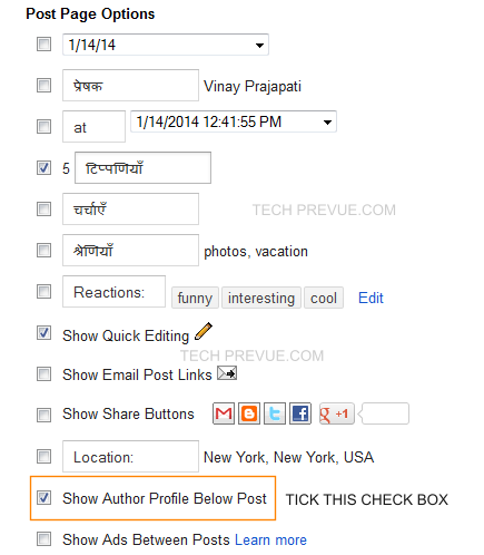 Show Blogger Author Profile Settings