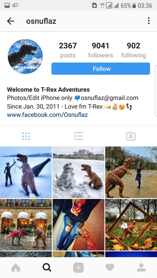 Personalize your Instagram theme