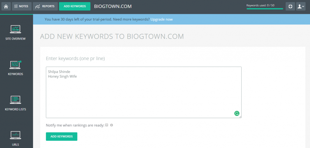 tinyranker reports keywords 2