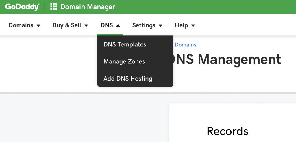 Godaddy domain panel DNS management