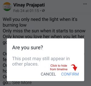 Confirm action- hide from timeline
