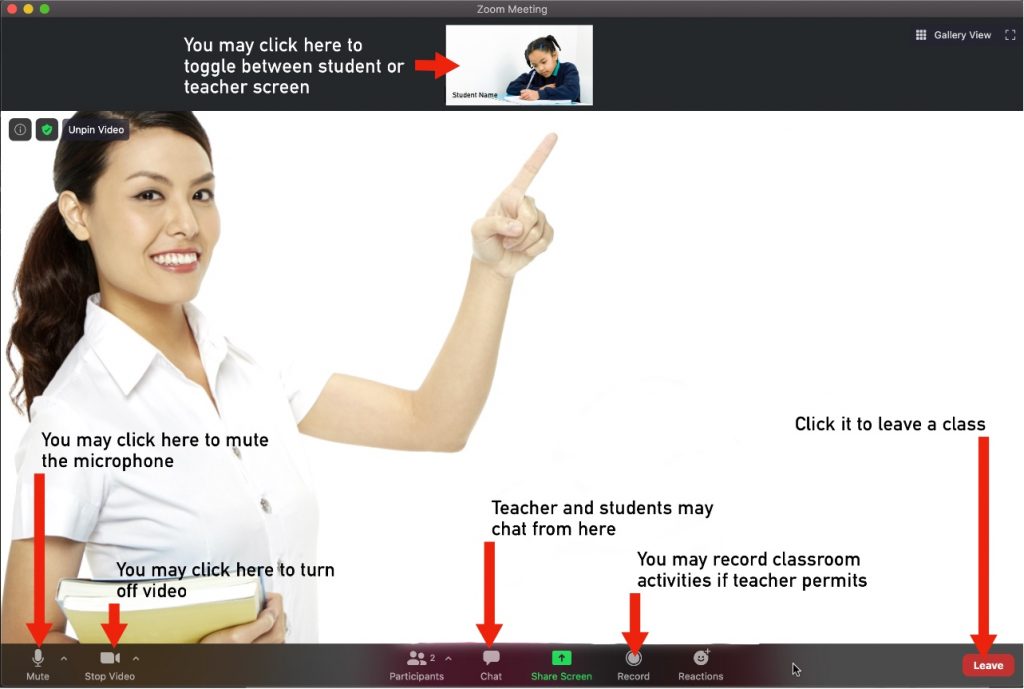 Zoom important options for students