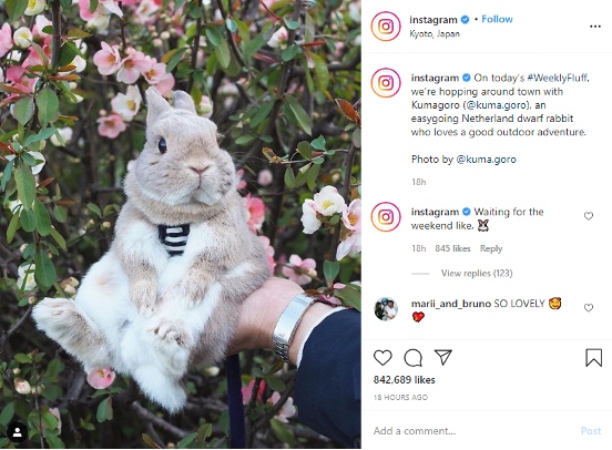 Instagram Shoutouts   A Sure Way to Get More Followers - 28