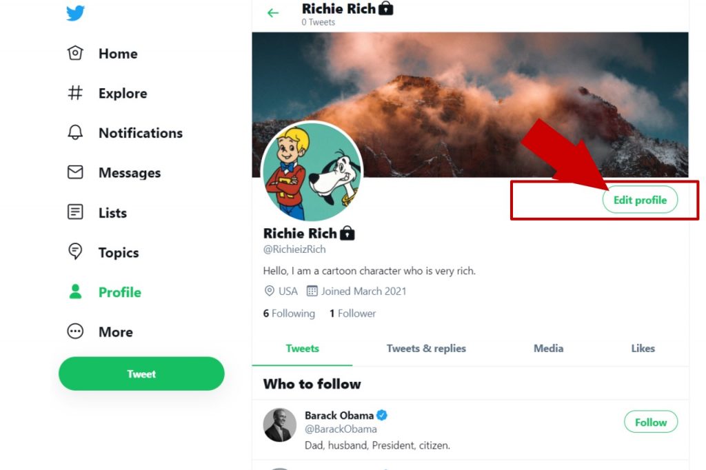 How to Change Twitter Name or Display Name   A Step by Step Guide - 14