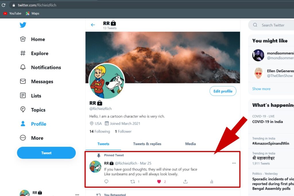 A pinned tweet on Twitter profile