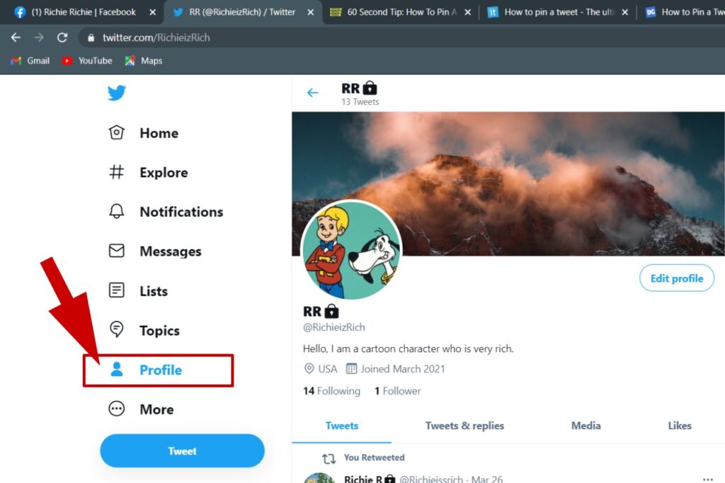 Click on Twitter profile button