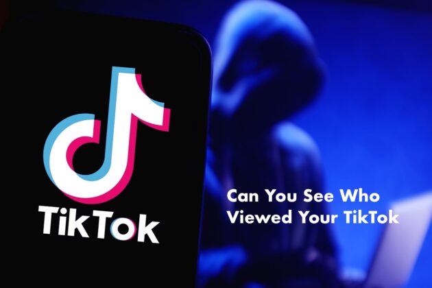 Can You See Who Viewed Your TikTok Profile Or Videos 