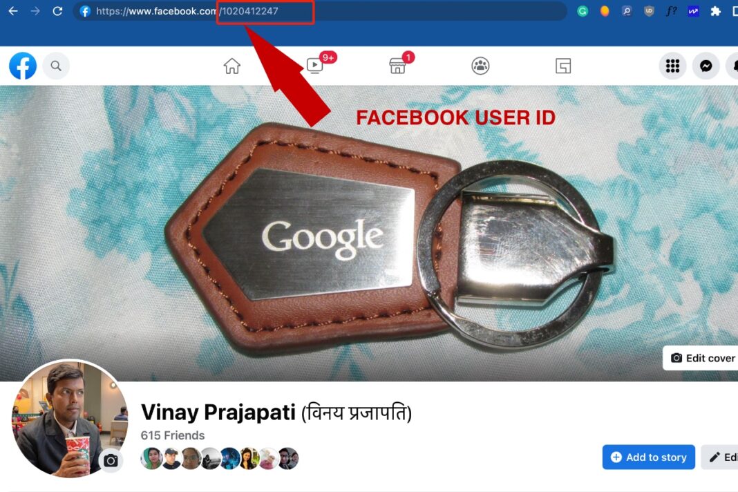 How to Find Your Facebook Username and User ID? TechPrevue