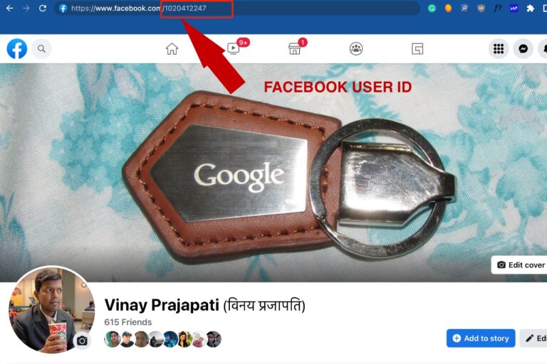 How to Find Your Facebook Username and User ID? TechPrevue