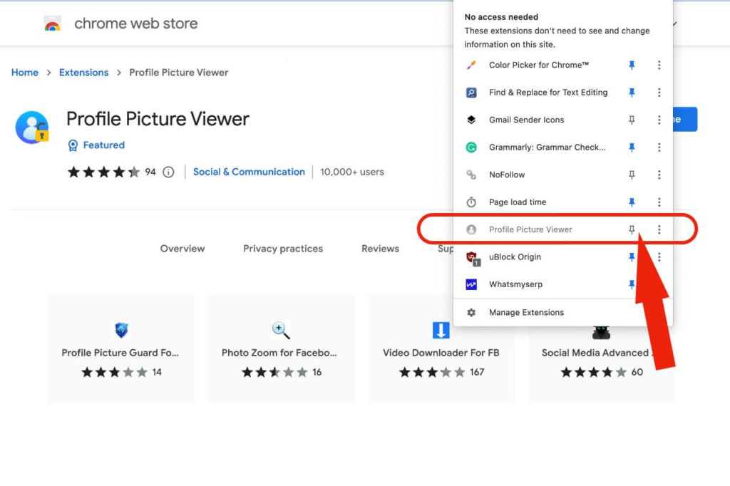 Pin the profile picture viewer extension