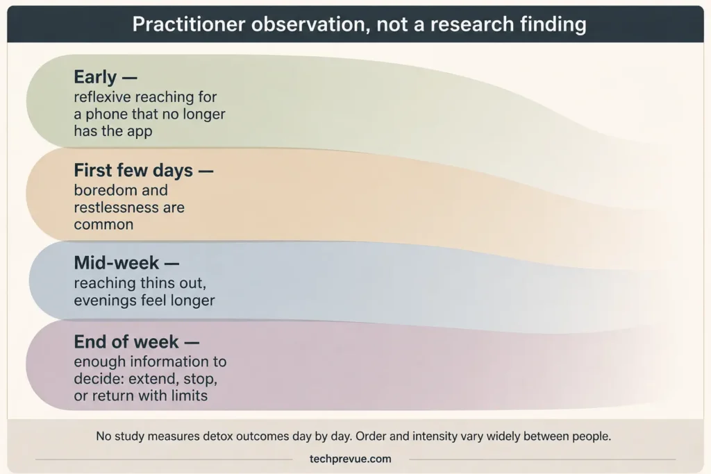 Four-phase illustration of what people commonly report noticing during a first week off social media, labelled as practitioner observation rather than research