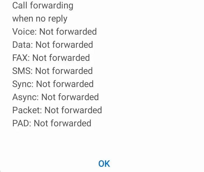 *#61# Call forwarding when no reply