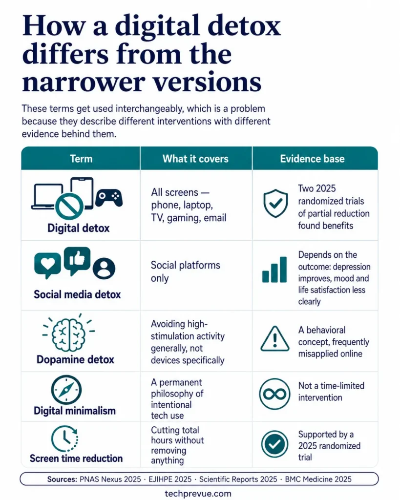 Digital detox compared with social media detox, dopamine detox, digital minimalism and screen time reduction