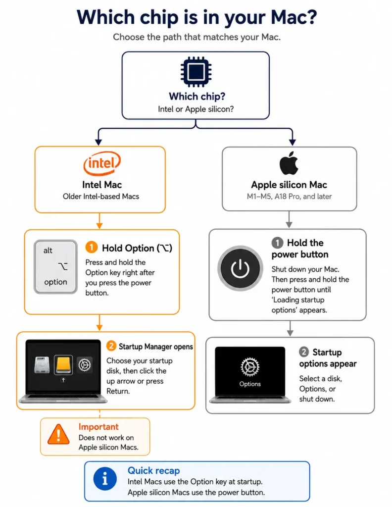 Decision tree showing Option opens Startup Manager on Intel Macs while Apple silicon Macs require holding the power button