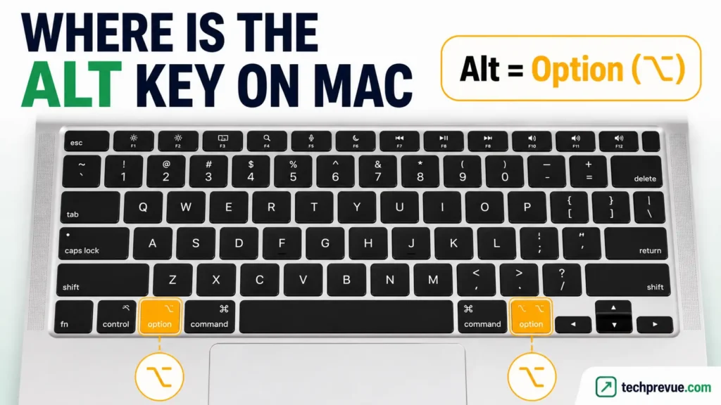 Where is Alt key on mac – MacBook keyboard with both Option keys highlighted, showing where the Alt key is on a Mac